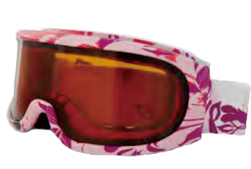 SNOW GOGGLES  |PRODUCT|SNOW GOGGLES