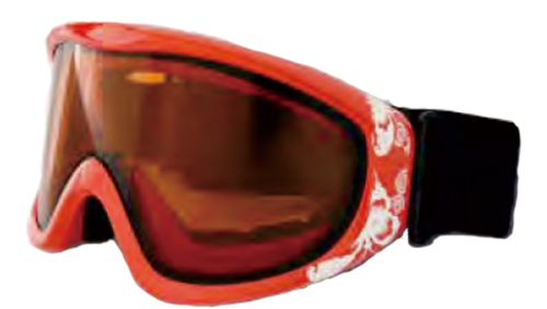 SNOW GOGGLES  |PRODUCT|SNOW GOGGLES